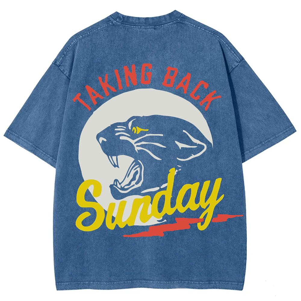 Unisex Vintage Washed Taking Back Sunday Band T-shirt