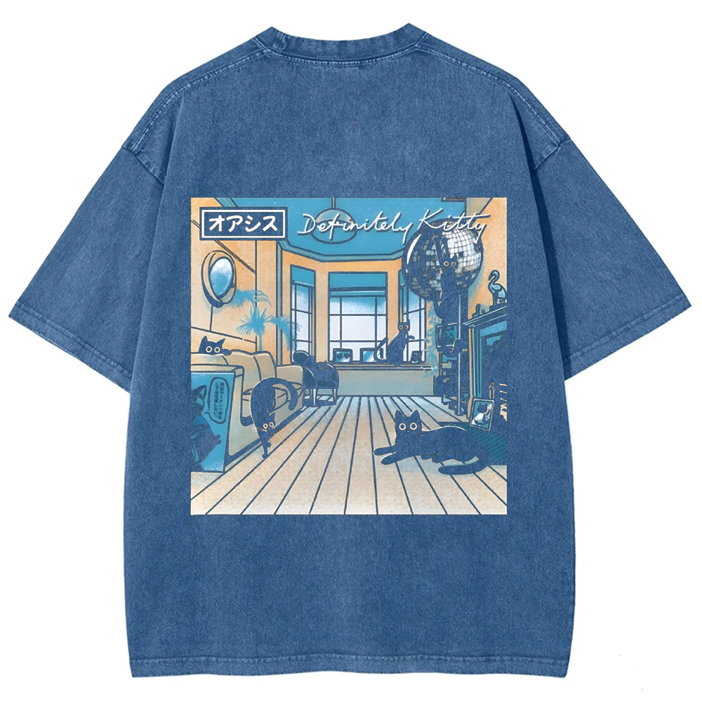 Unisex Vintage Washed Definitely Kitty t-Shirt