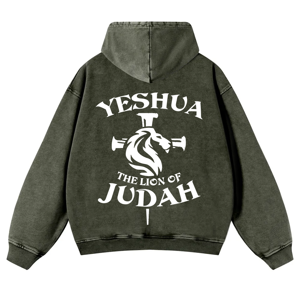 Yeshua Washed Hoodie wearishow