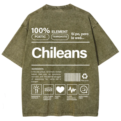 Chileans Unisex Fit  Washed T-Shirt