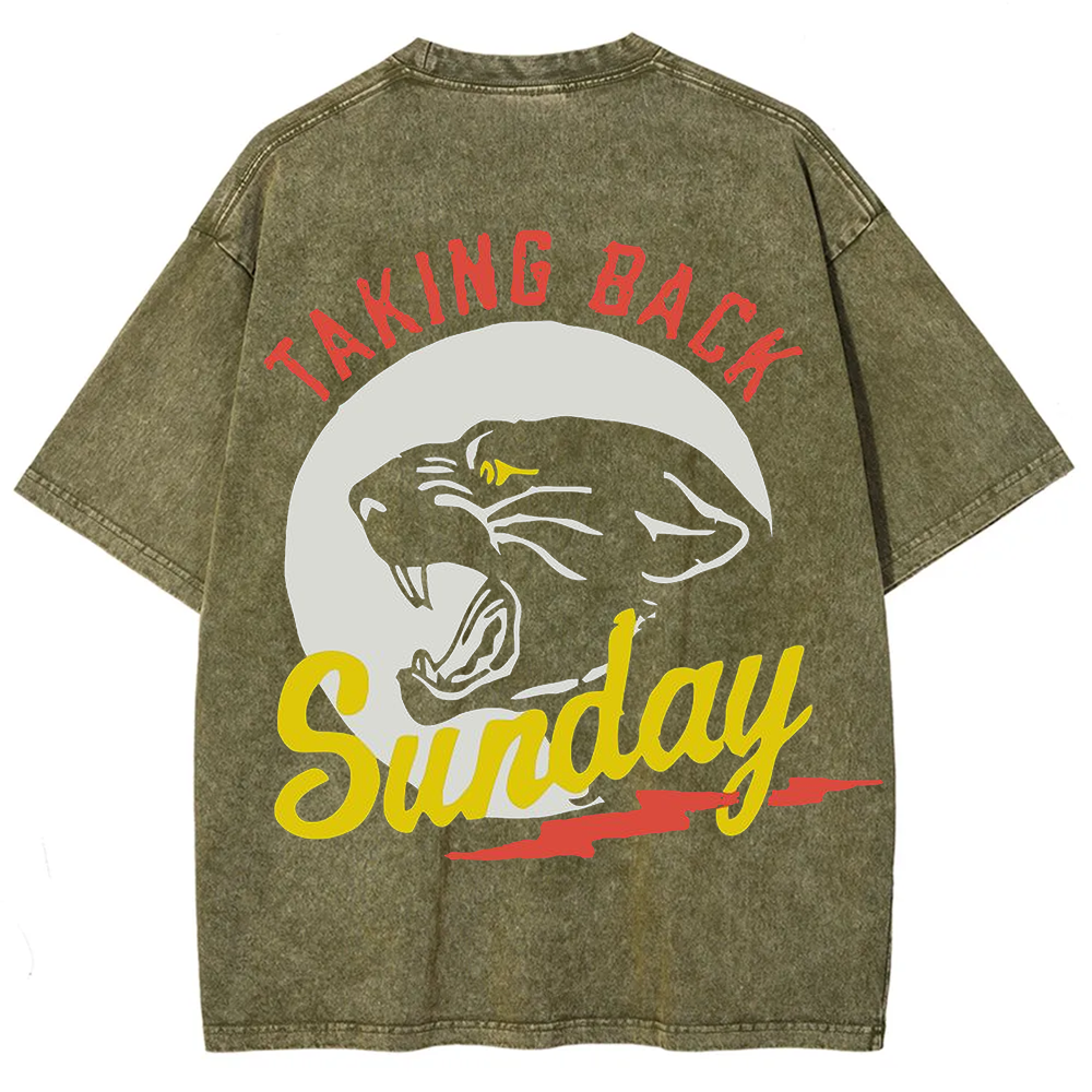 Unisex Vintage Washed Taking Back Sunday Band T-shirt