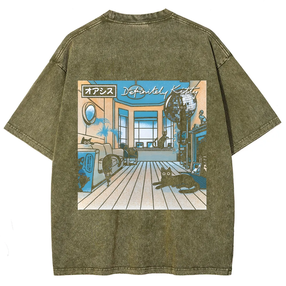 Unisex Vintage Washed Definitely Kitty t-Shirt