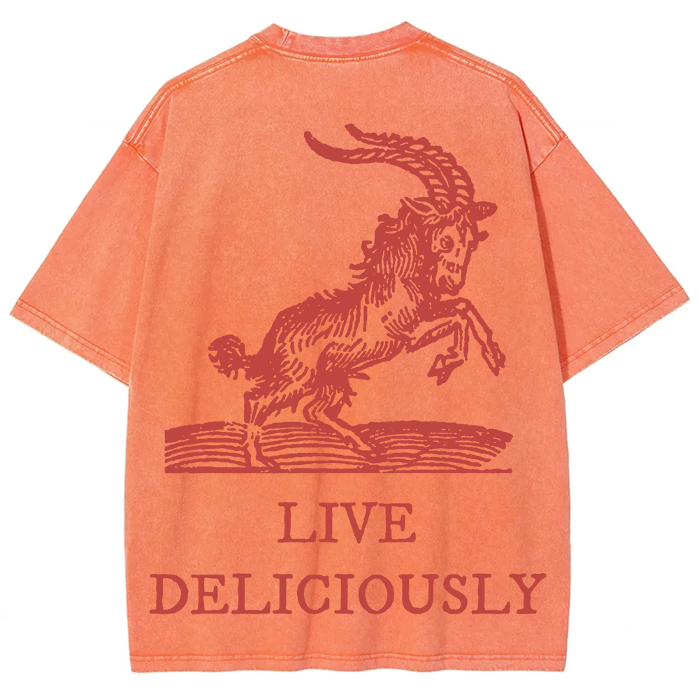 Unisex Vintage Washed The Witch Live Deliciously  T-Shirt