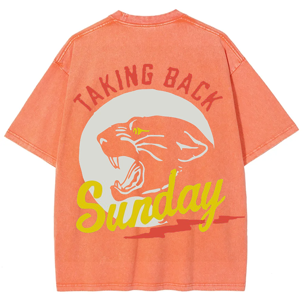 Unisex Vintage Washed Taking Back Sunday Band T-shirt