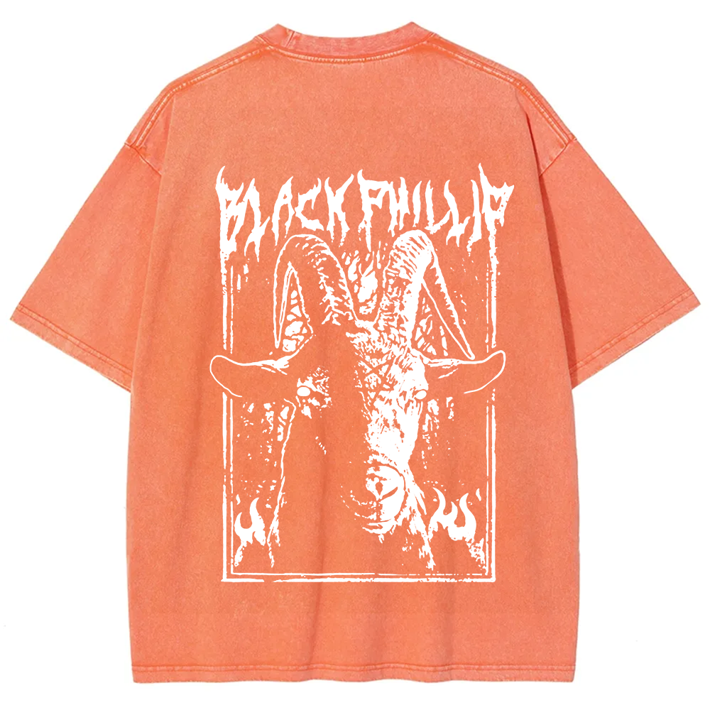 Unisex Vintage Washed The Witch Black Phillip T-Shirt