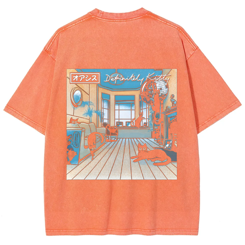Unisex Vintage Washed Definitely Kitty t-Shirt