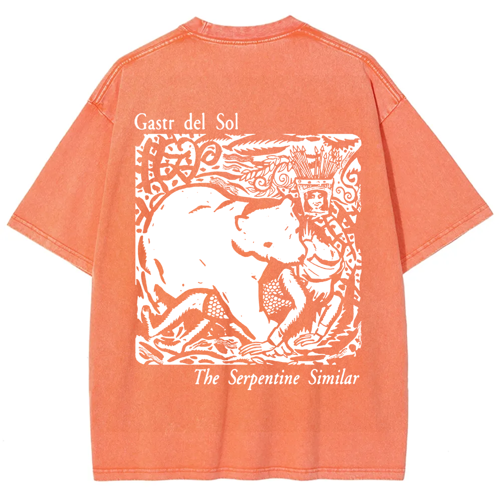 Unisex Vintage  Gastr del Sol Band  t-Shirt