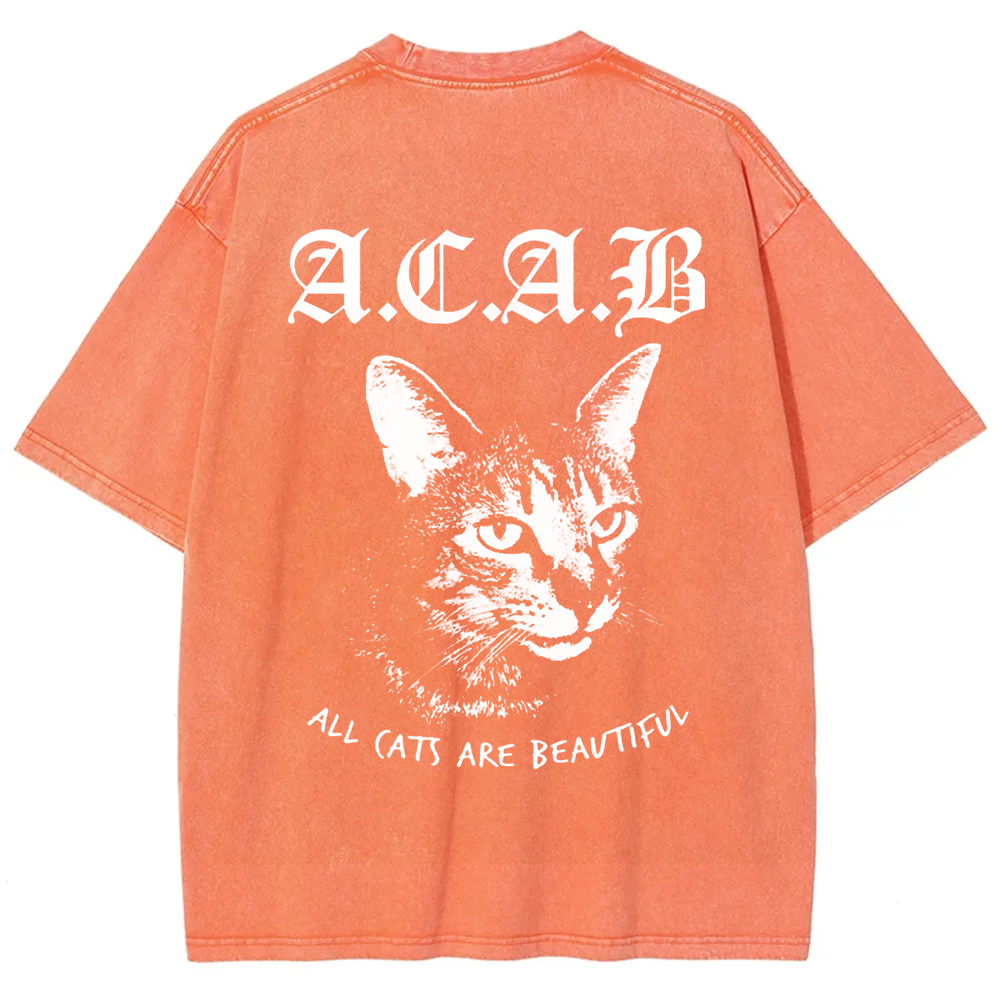 Unisex Vintage  All Cats Are Beautiful Song Music t-Shirt