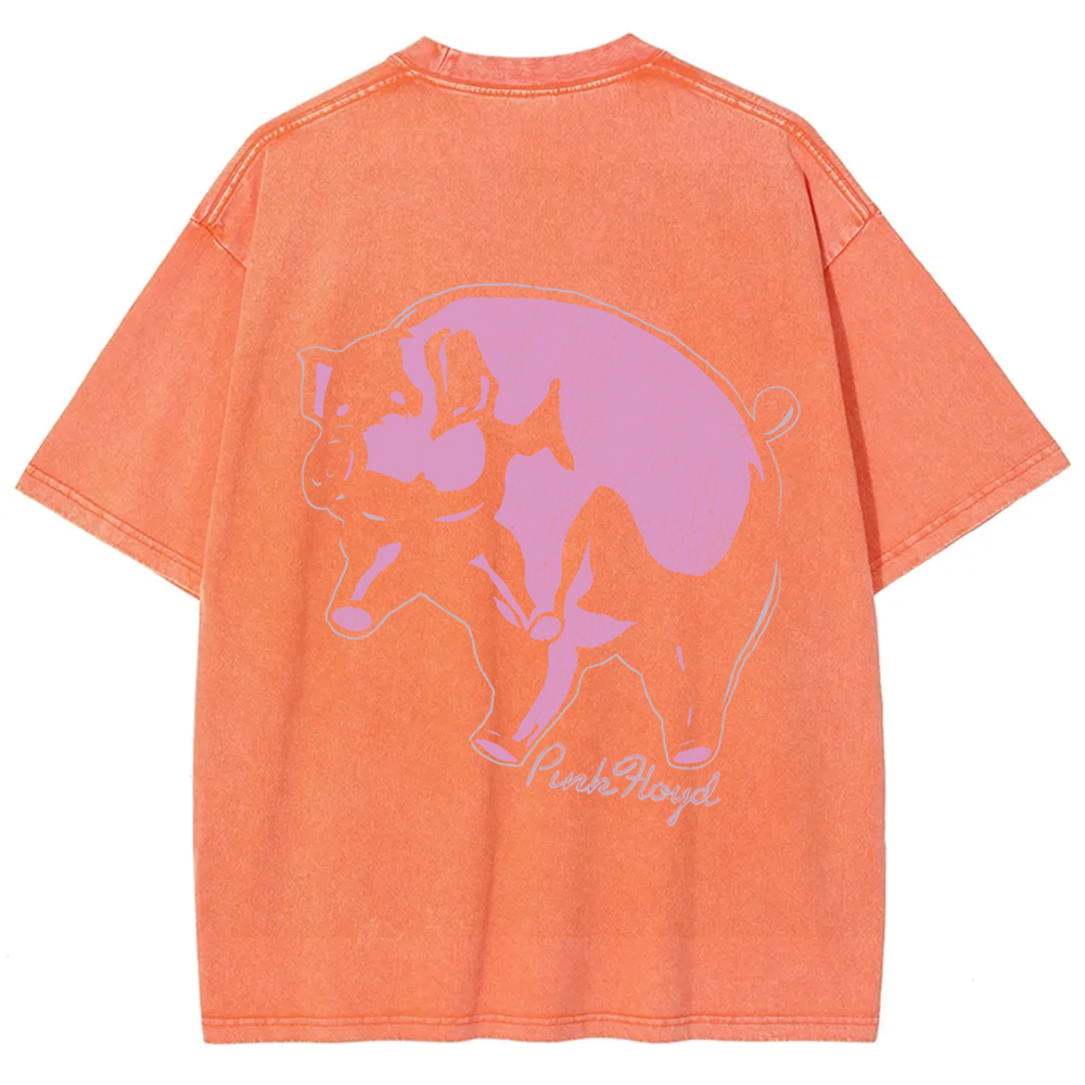 Unisex Vintage Pink Floyd Band t-Shirt