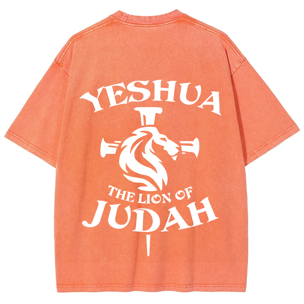 Yeshua Unisex Fit Washed T-Shirt