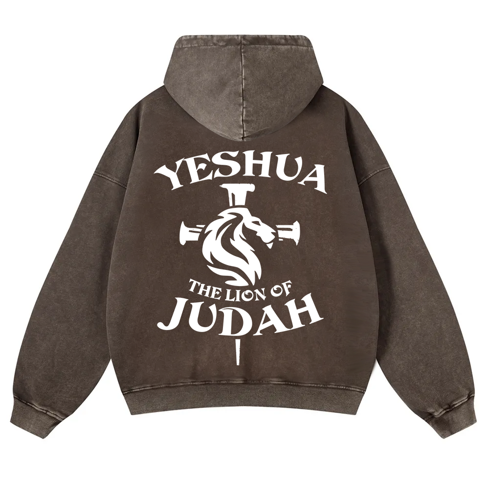 Yeshua Washed Hoodie wearishow