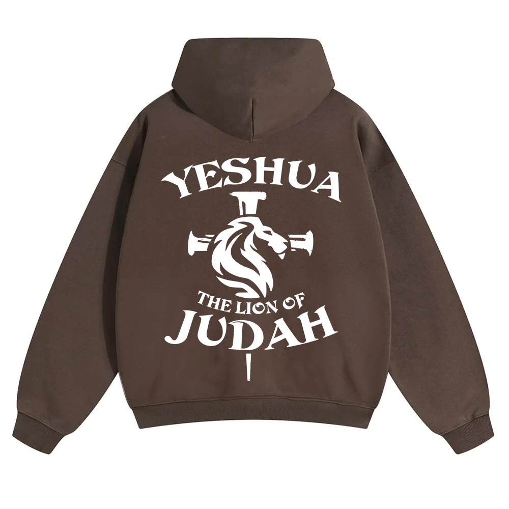 Yeshua Unisex Solid Color Hoodie wearishow
