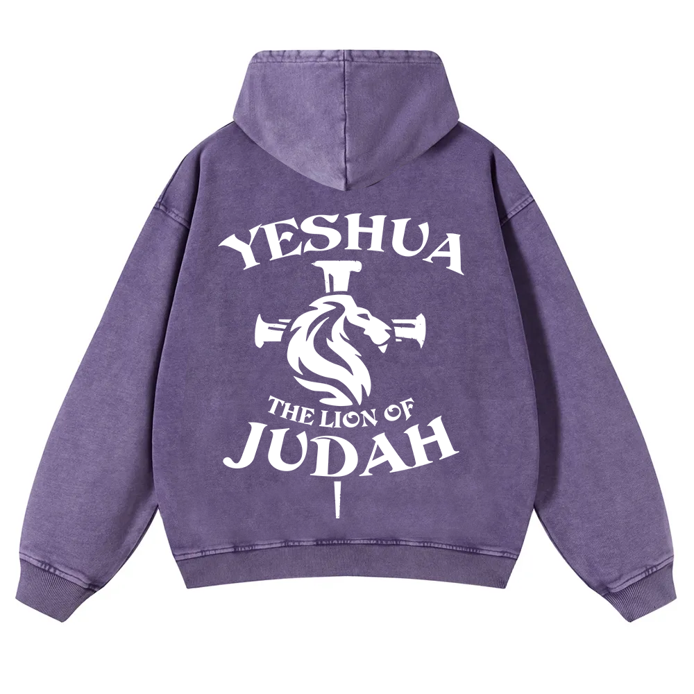 Yeshua Washed Hoodie wearishow