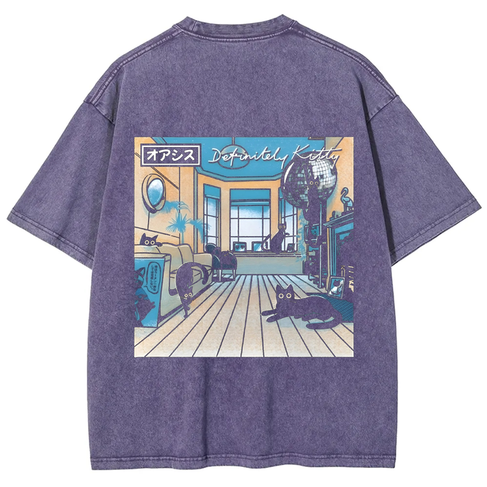 Unisex Vintage Washed Definitely Kitty t-Shirt