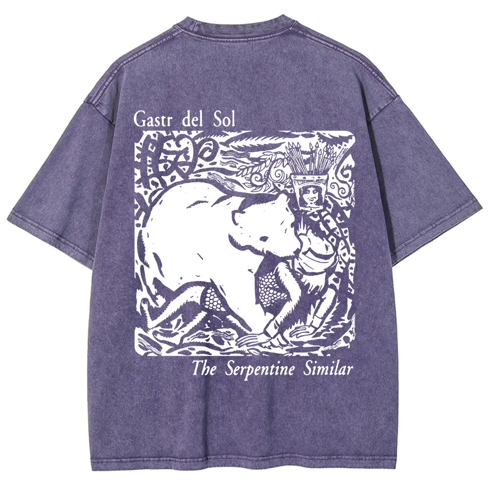 Unisex Vintage  Gastr del Sol Band  t-Shirt