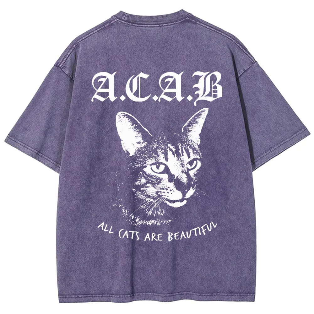 Unisex Vintage  All Cats Are Beautiful Song Music t-Shirt
