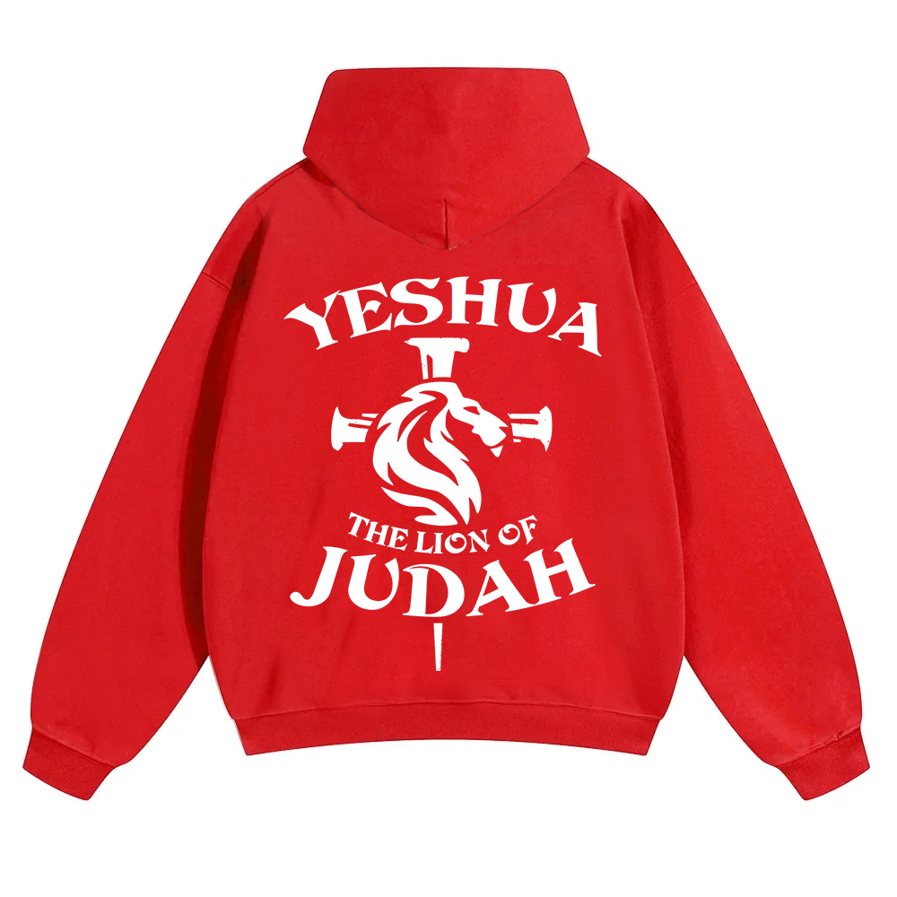 Yeshua Unisex Solid Color Hoodie wearishow