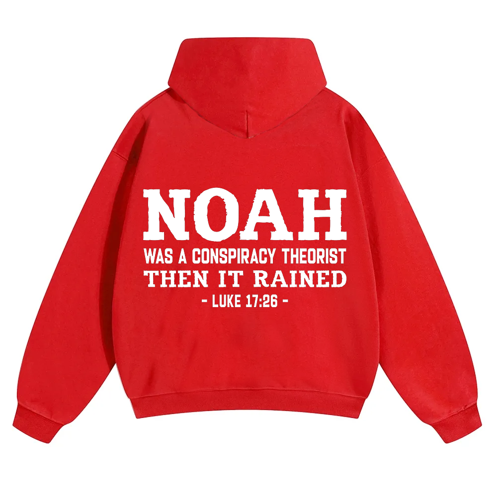 Noah Was a Conspiracy Theorist Unisex Solid Color Hoodie wearishow