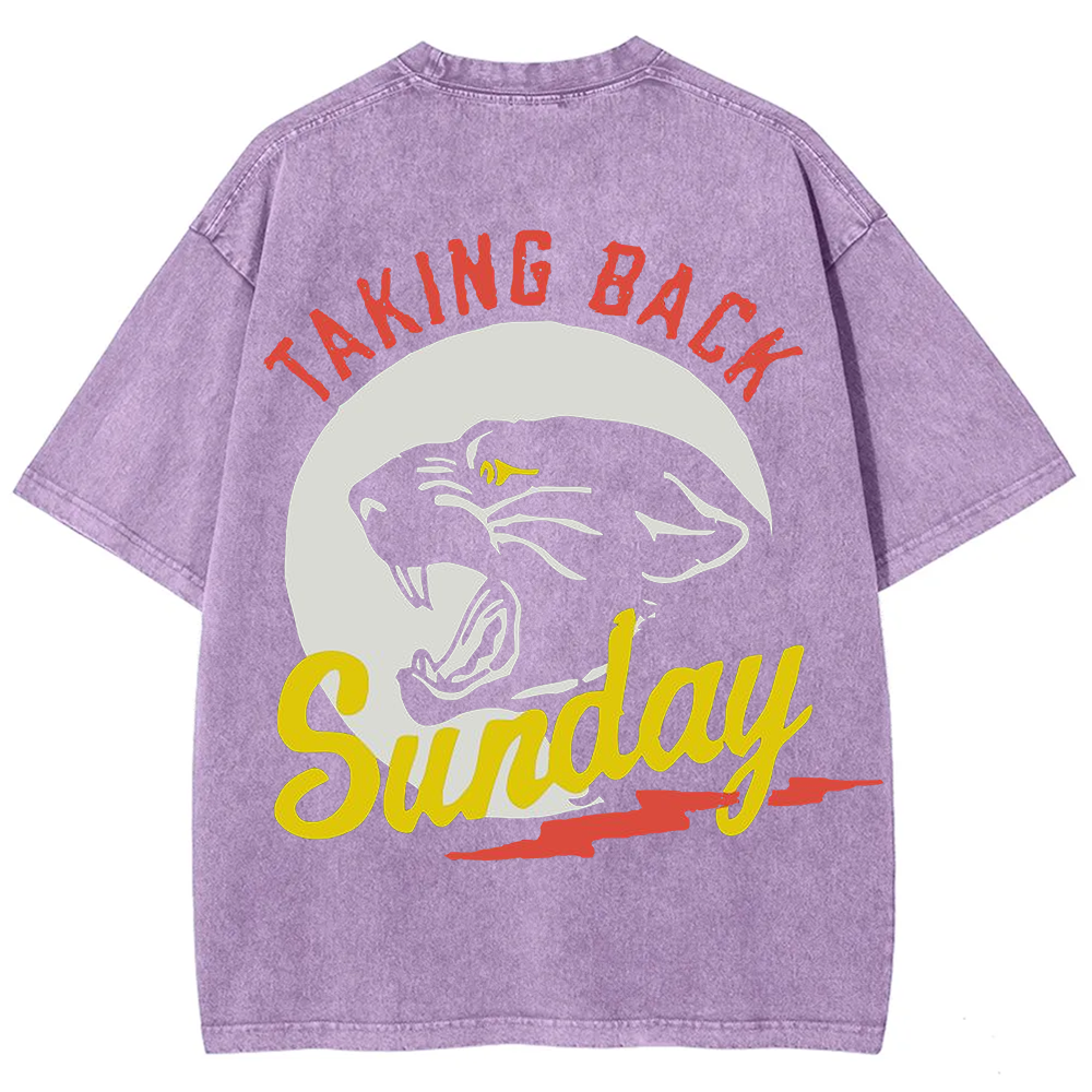 Unisex Vintage Washed Taking Back Sunday Band T-shirt