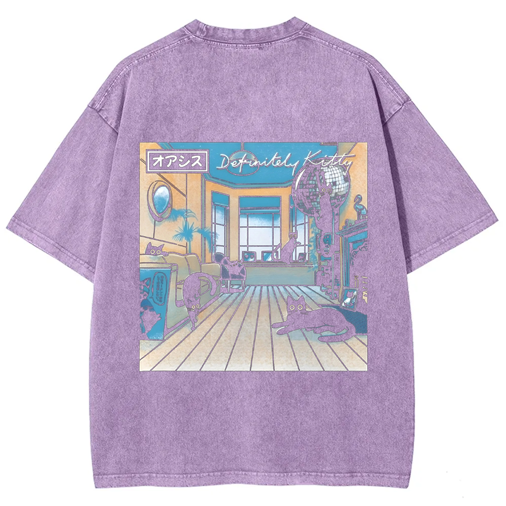 Unisex Vintage Washed Definitely Kitty t-Shirt