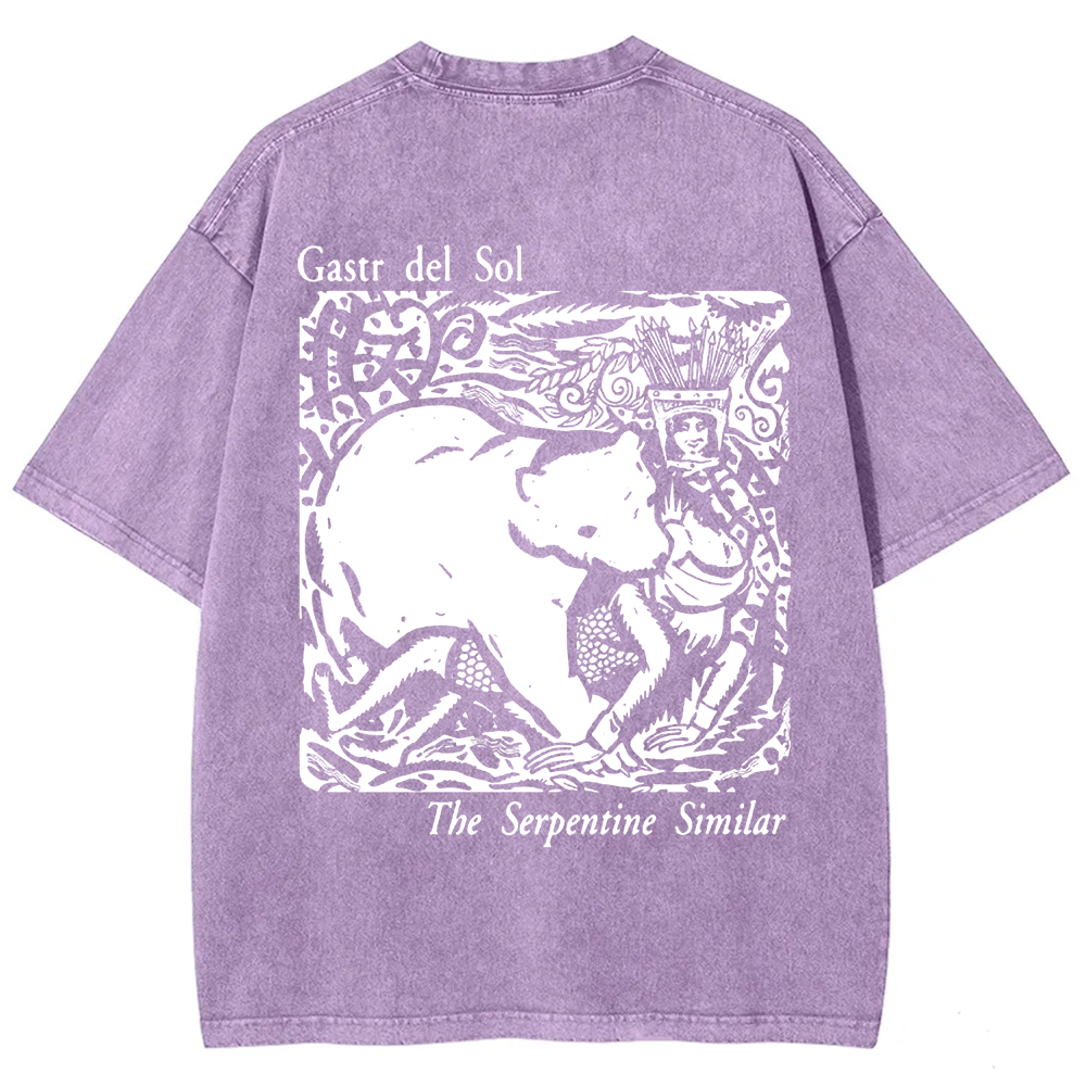 Unisex Vintage  Gastr del Sol Band  t-Shirt