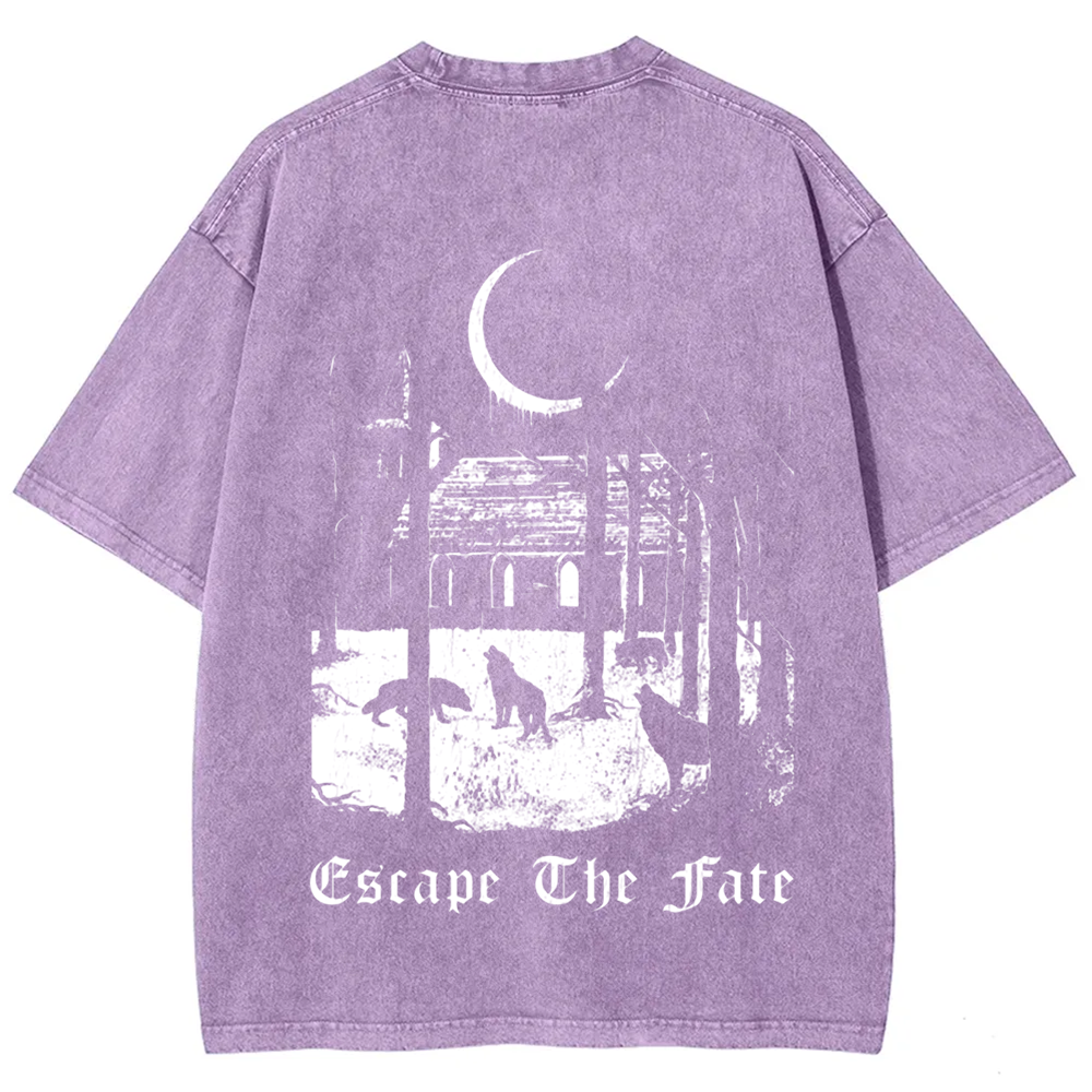 Unisex Vintage Escape the Fate Band t-Shirt