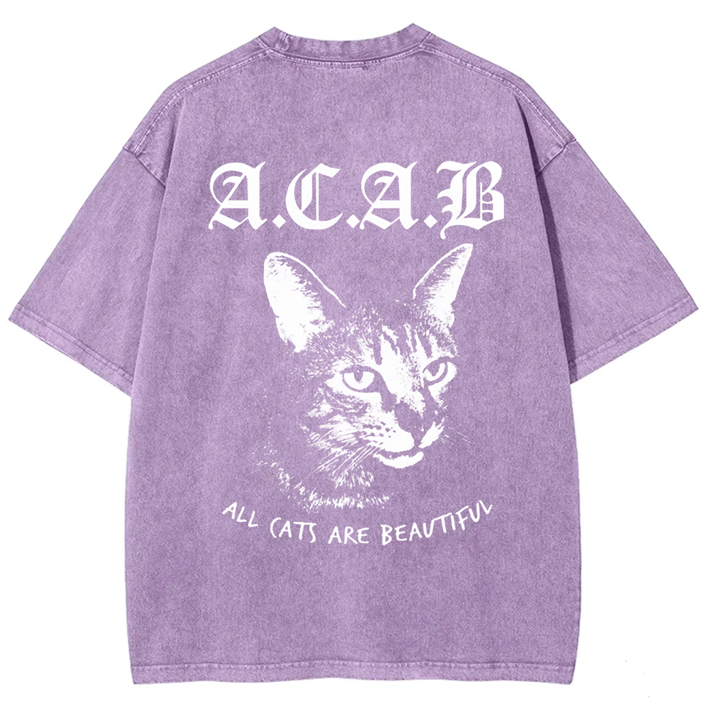 Unisex Vintage  All Cats Are Beautiful Song Music t-Shirt