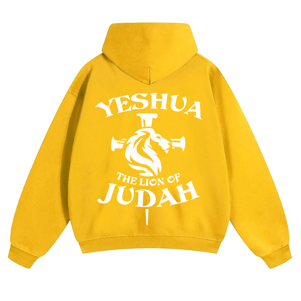 Yeshua Unisex Solid Color Hoodie wearishow