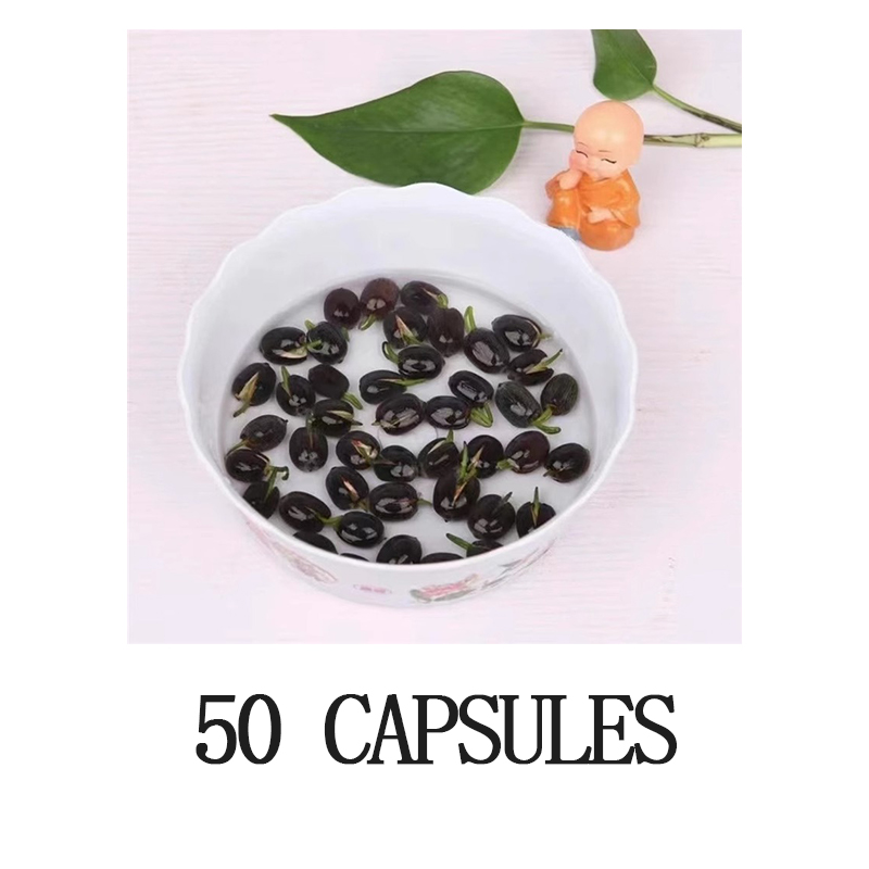 🔥[7 days germination]💐The Sacred Bonsai Bowl Lotus Flower