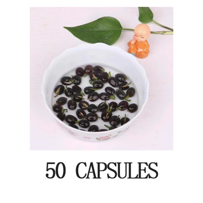 🔥[7 days germination]💐The Sacred Bonsai Bowl Lotus Flower