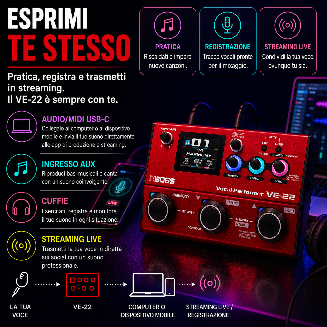 BOSS Processore Professionale per Voce