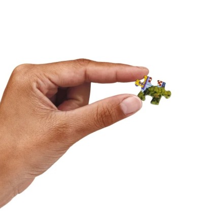 The World’s Largest Puzzle by Dowthtdle