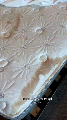 Handheld Pressurized Steam Cleaner with 12 pcs Accessories