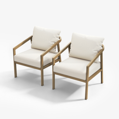 2-piece Patio Outdoor Armchair Set - C041