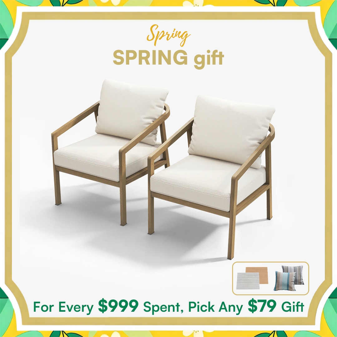 2-piece Patio Outdoor Armchair Set - C041