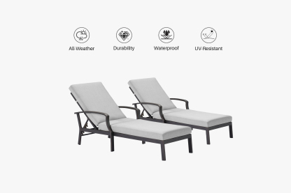 2 Pieces Sun Lounge Chairs
