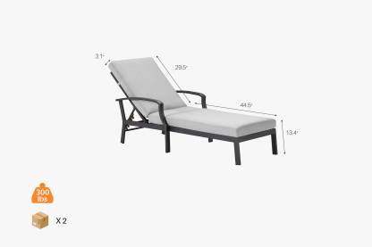 2 Pieces Sun Lounge Chairs