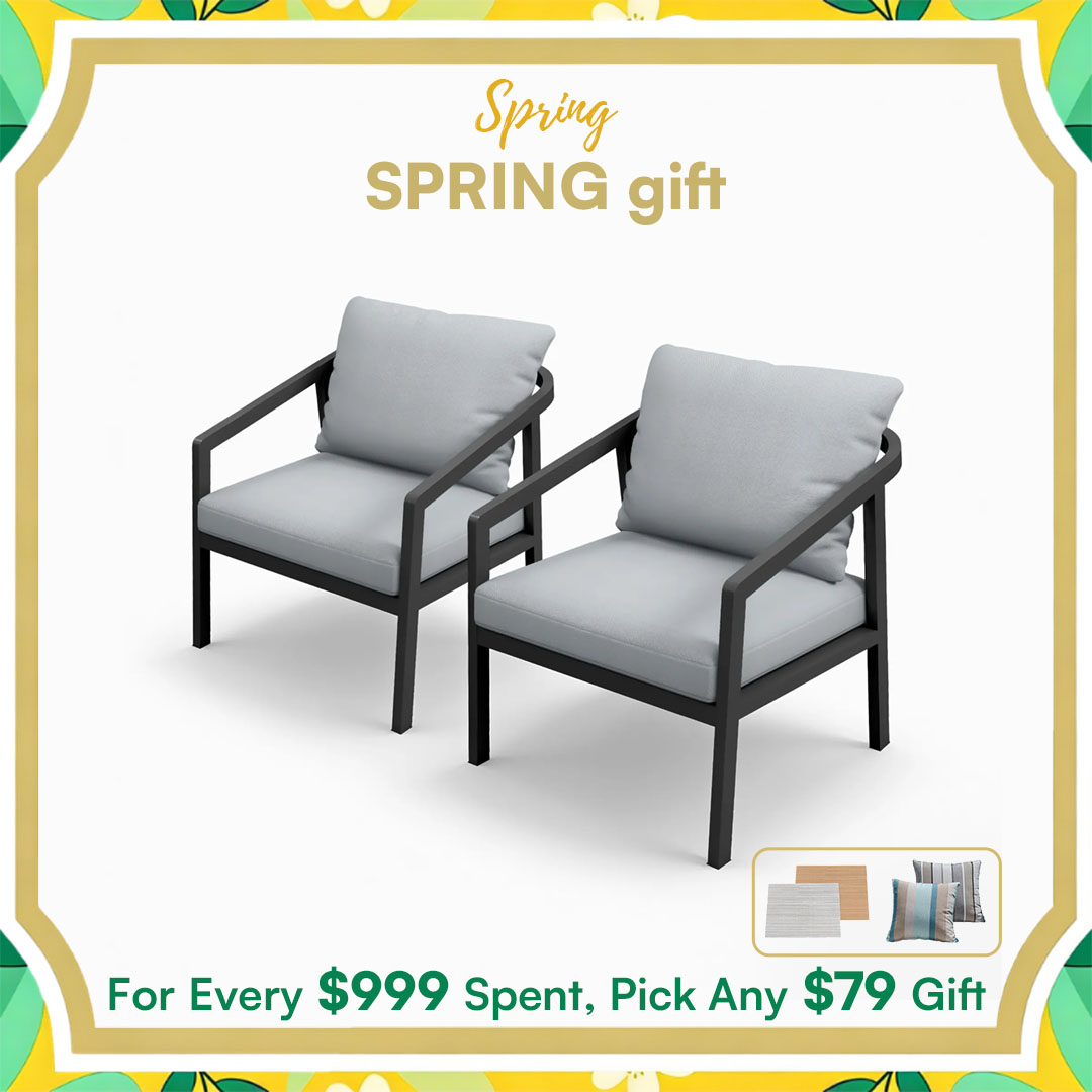 2-piece Patio Outdoor Armchair Set - C041