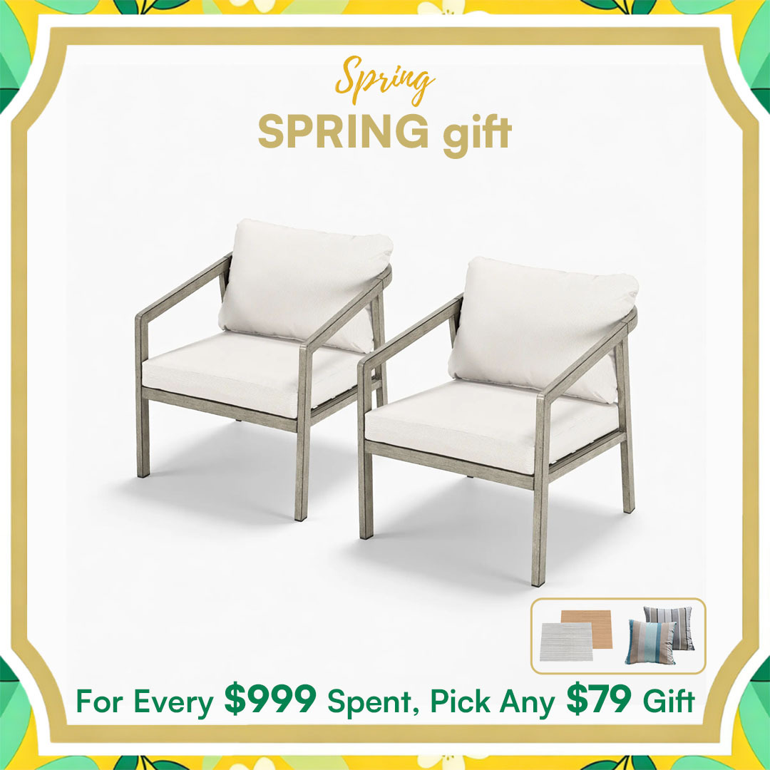2-piece Patio Outdoor Armchair Set - C041