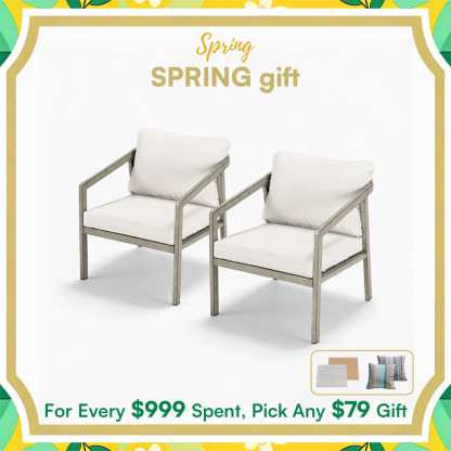 2-piece Patio Outdoor Armchair Set - C041