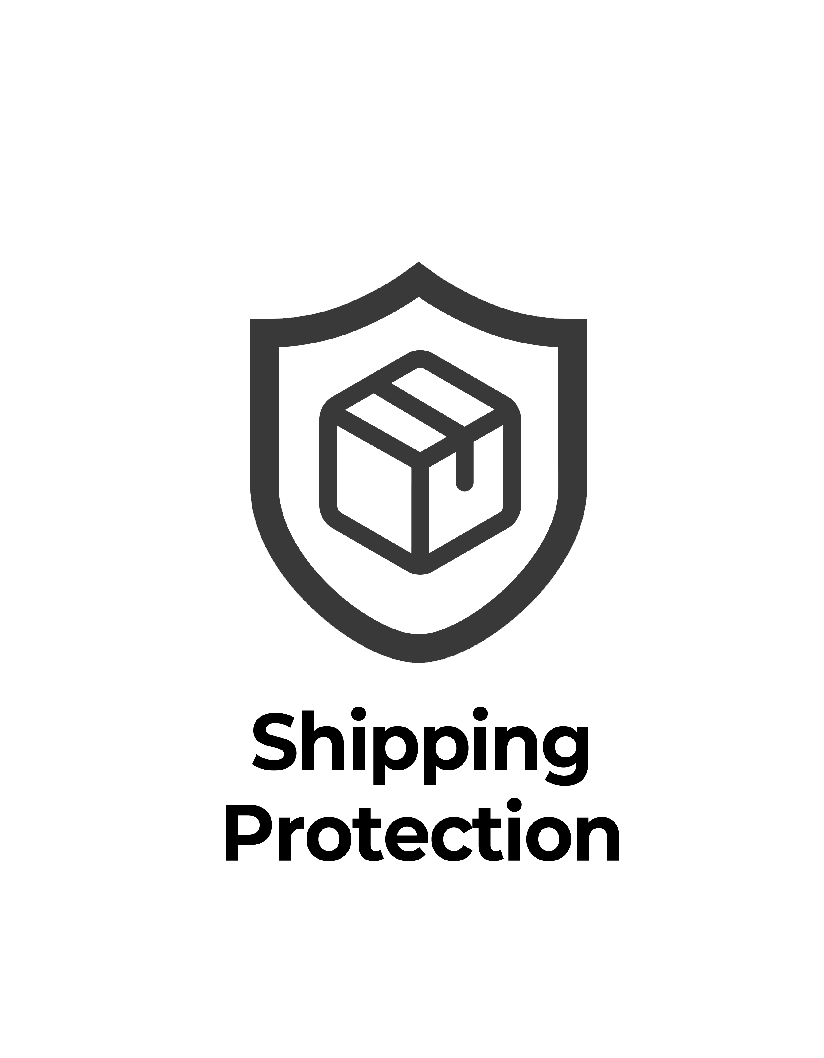 Black and white icon of a shield with a package symbol inside on a white background-Seehill