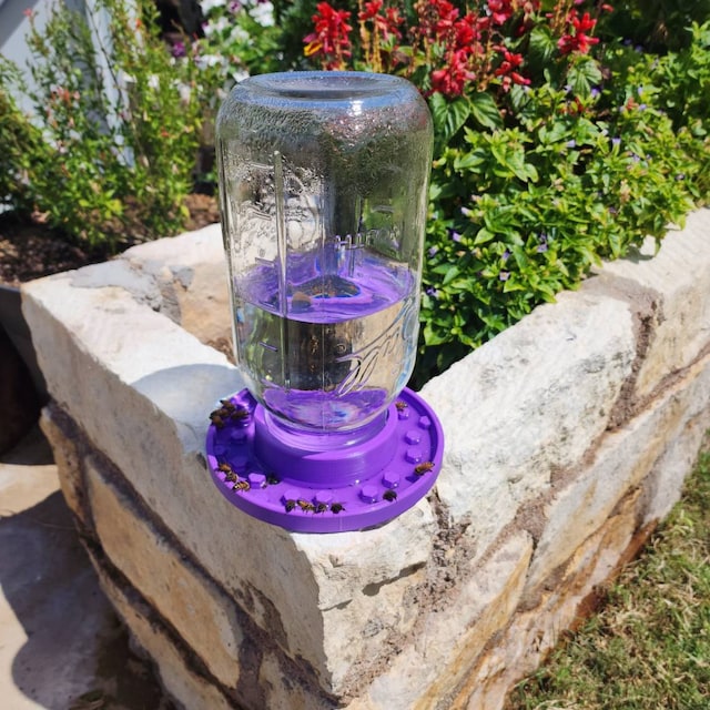 🐝Bee feeder for regular mason jars