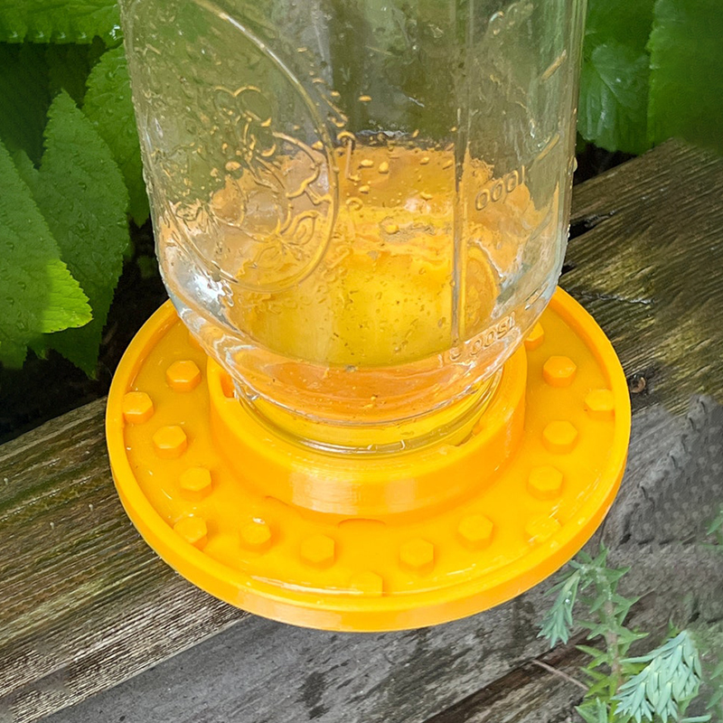🐝Bee feeder for regular mason jars