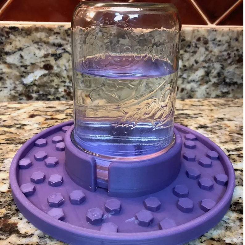 🐝Bee feeder for regular mason jars