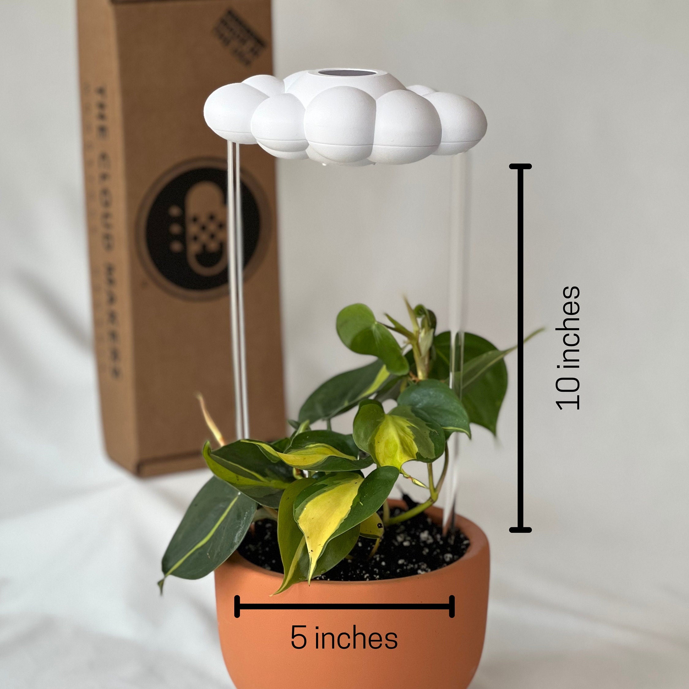 Original Dripping Rain Cloud for Plants with Sun and Pastel Rainbow Charms