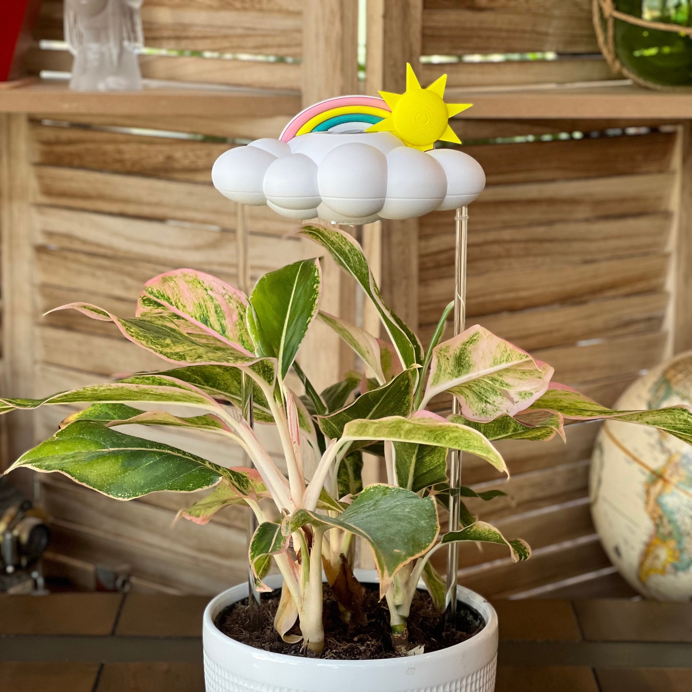 Original Dripping Rain Cloud for Plants with Sun and Pastel Rainbow Charms