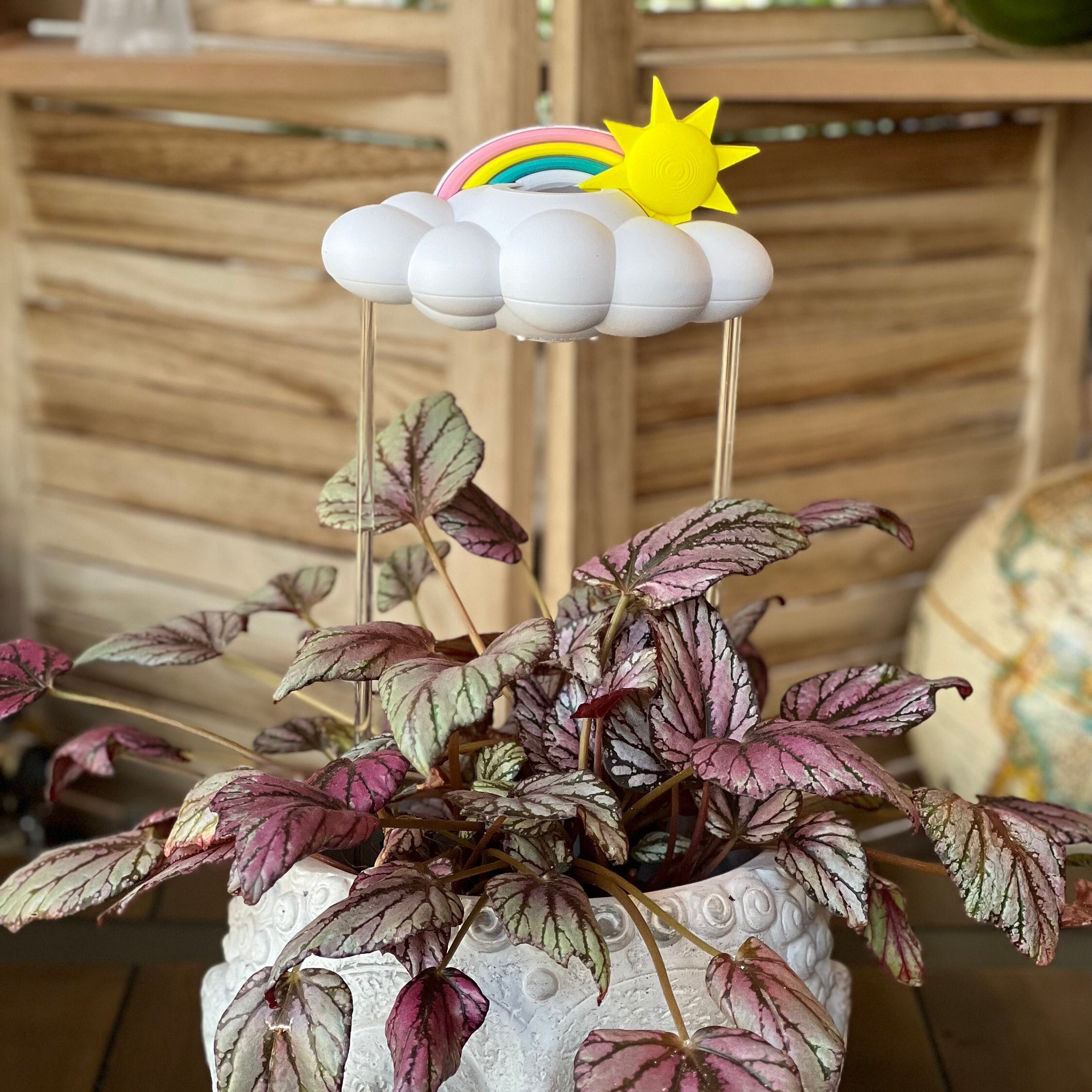 Original Dripping Rain Cloud for Plants with Sun and Pastel Rainbow Charms