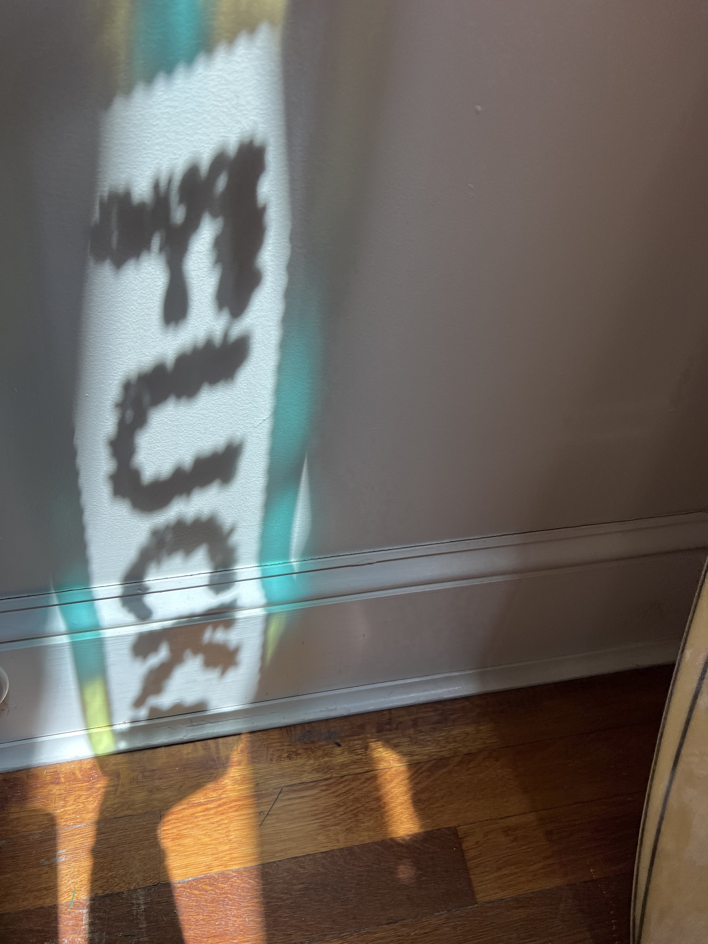 🤣FLOWER F*CK SUNCATCHER