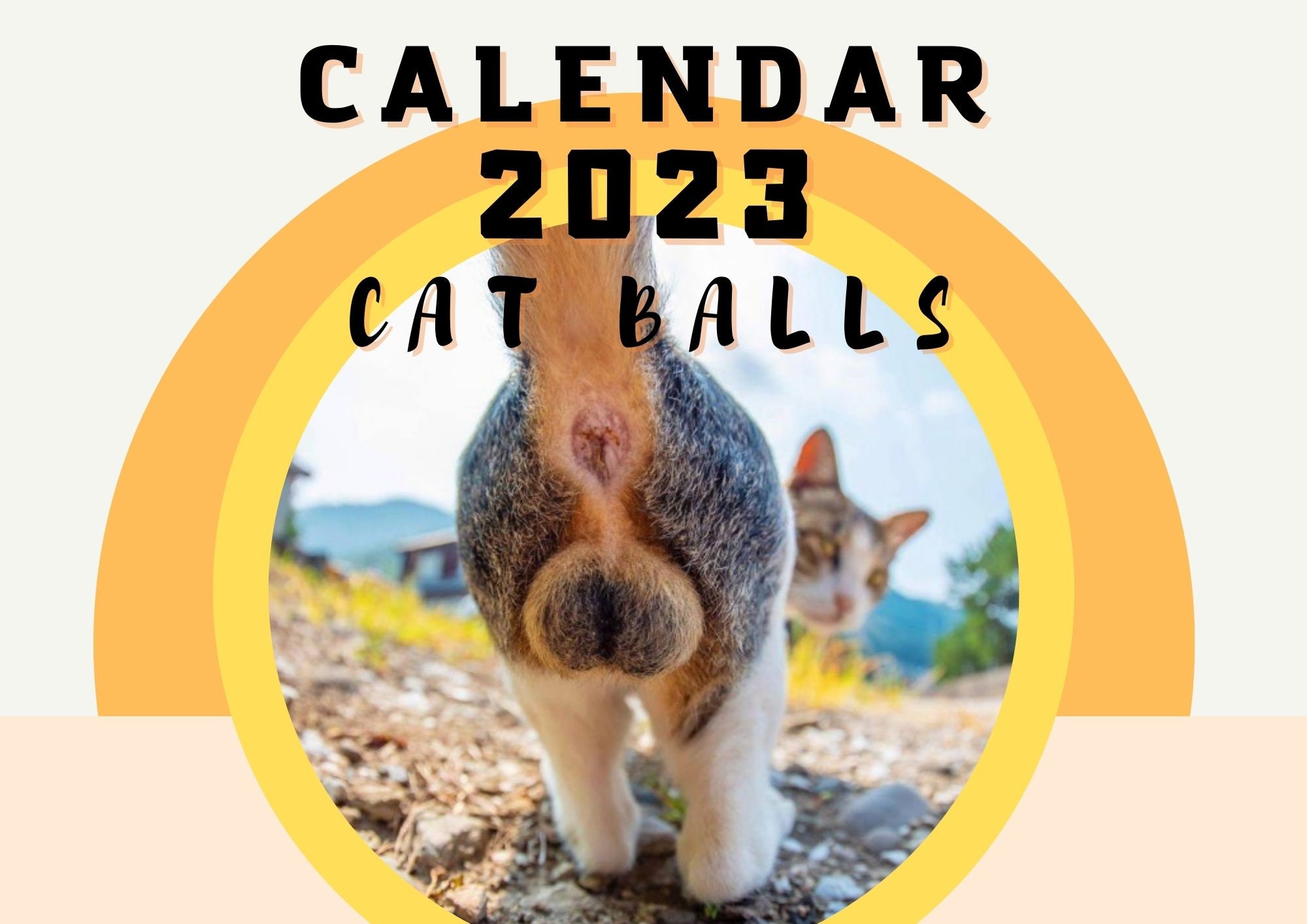 🤣2023 Funny Gift Cats Buttholes Calendar