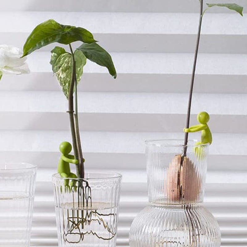 🌱Plant Propagation Buddy